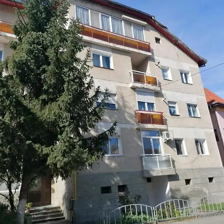 Apartament Bun, 2 Camere, Centru Rm Valcea Apartment